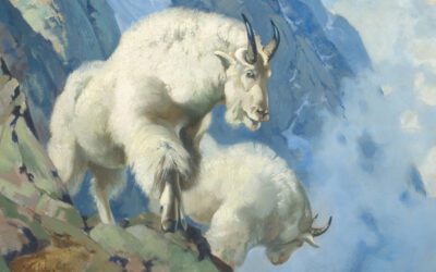 A Night with the White Goats