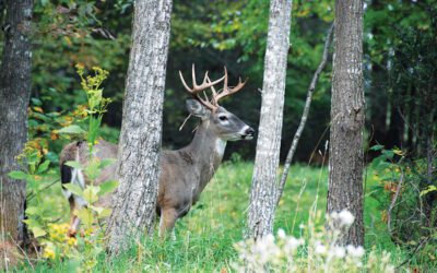 Congratulations, New Hunter—Here Is Your 194-Page Criminal-Exposure Manual