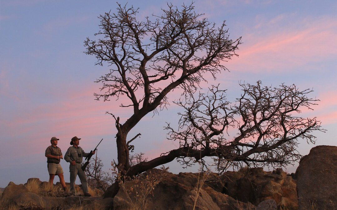 Assessing Cartridges for Africa