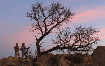 Assessing Cartridges for Africa
