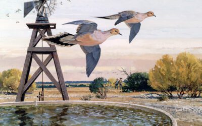 The Thing About Doves
