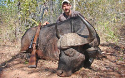 A Terrible Silence: Cape Buffalo in the Zambezi Valley