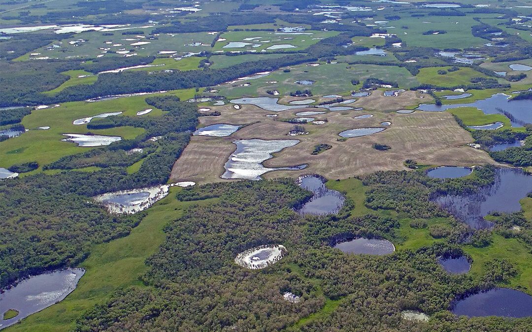 Washington Discovers a Wetland Rule That Works—and Immediately Calls for Review