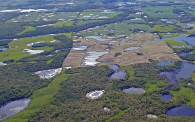 Washington Discovers a Wetland Rule That Works—and Immediately Calls for Review