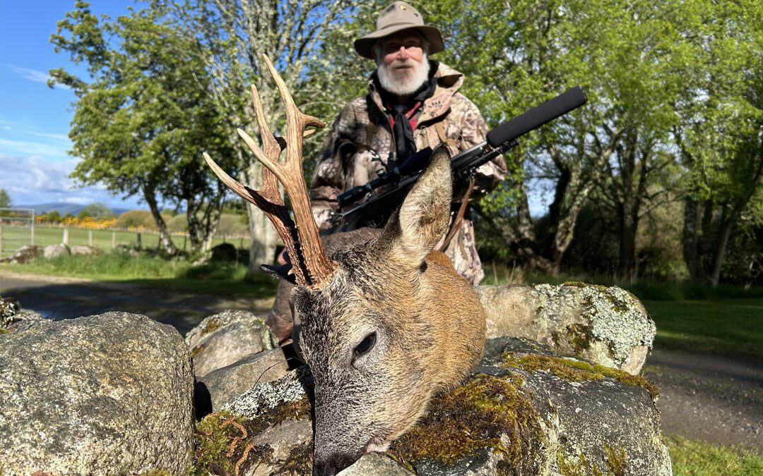 Scottish Roe Deer… Finally! (Part 3 of 3)