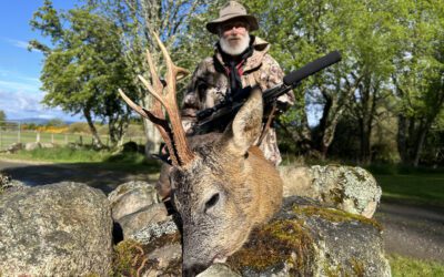 Scottish Roe Deer… Finally! (Part 3 of 3)