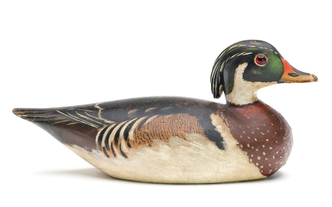 Big Bucks for Old Ducks