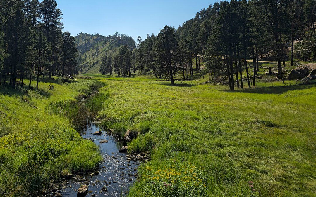 North Dakota’s Camo Party Has 300,000 Members. Now It Needs a Senator Who Can Count.