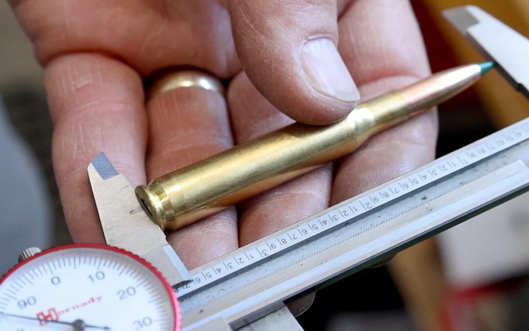 Rebirth of the Centenarian 270 Winchester