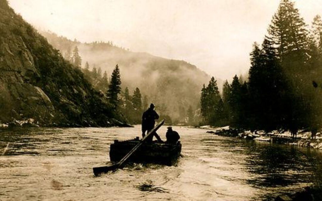 The Strange Saga of Henry Bauman