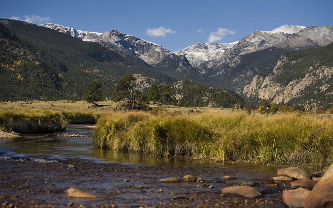 Conservation’s Greatest Weakness Is Not Science. It Is Silence.