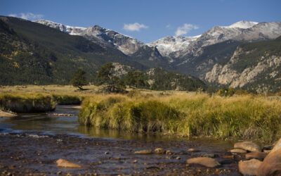 Conservation’s Greatest Weakness Is Not Science. It Is Silence.