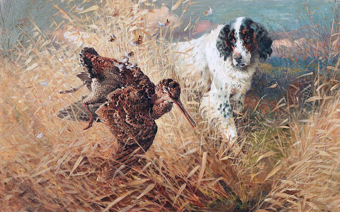 Woodcock Shooting on the Upper Mississippi