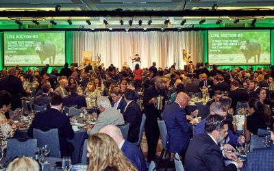 The Adults in the Room: Why I Support the Congressional Sportsmen’s Foundation