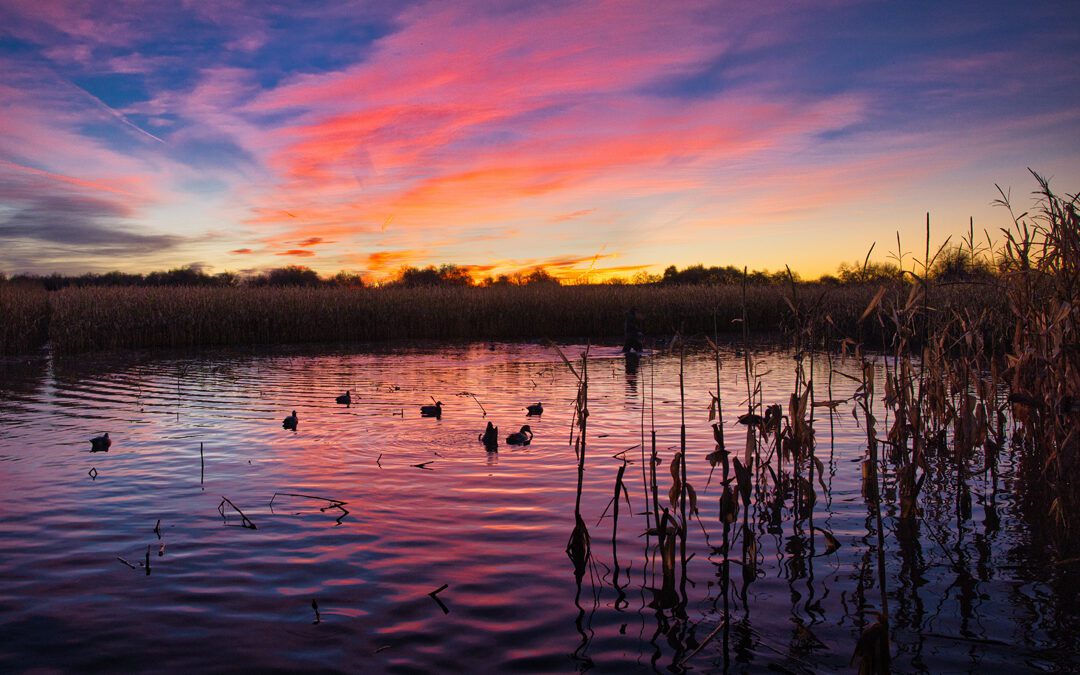 Why I Stand with Ducks Unlimited
