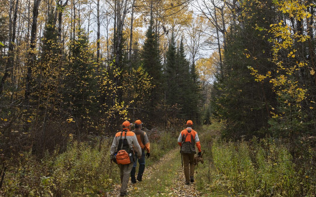 Autumn’s Greatest Hits: My Favorite Upland Bird Hunts