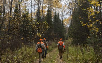 Autumn’s Greatest Hits: My Favorite Upland Bird Hunts