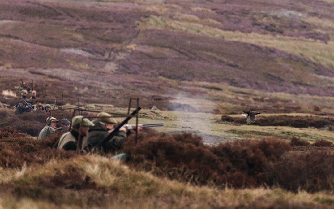 The Sport of Kings on the Yorkshire Moors