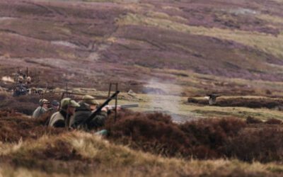 The Sport of Kings on the Yorkshire Moors