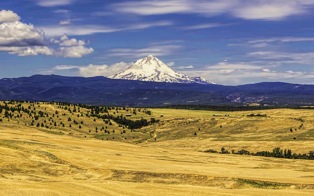 Thank You, Oregon’s Animal-Rights Activists
