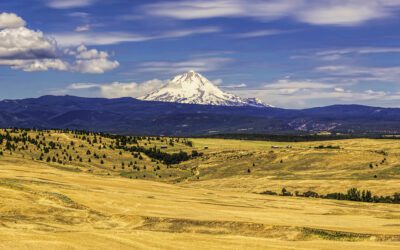 Thank You, Oregon’s Animal-Rights Activists