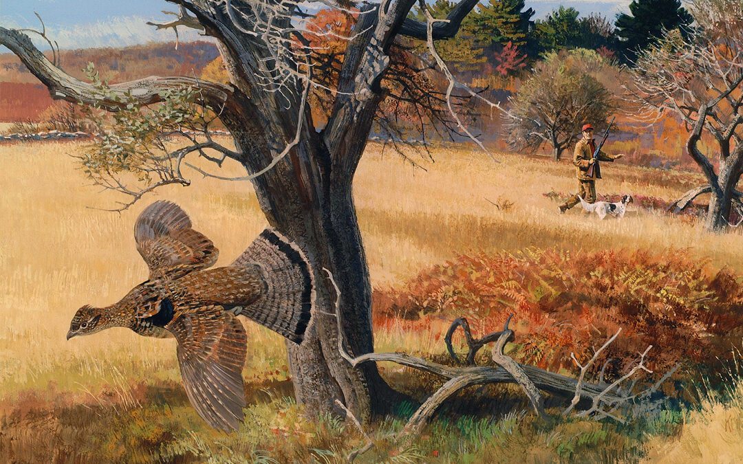 In The Court Of The Ruffed Grouse King