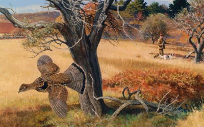 In The Court Of The Ruffed Grouse King  